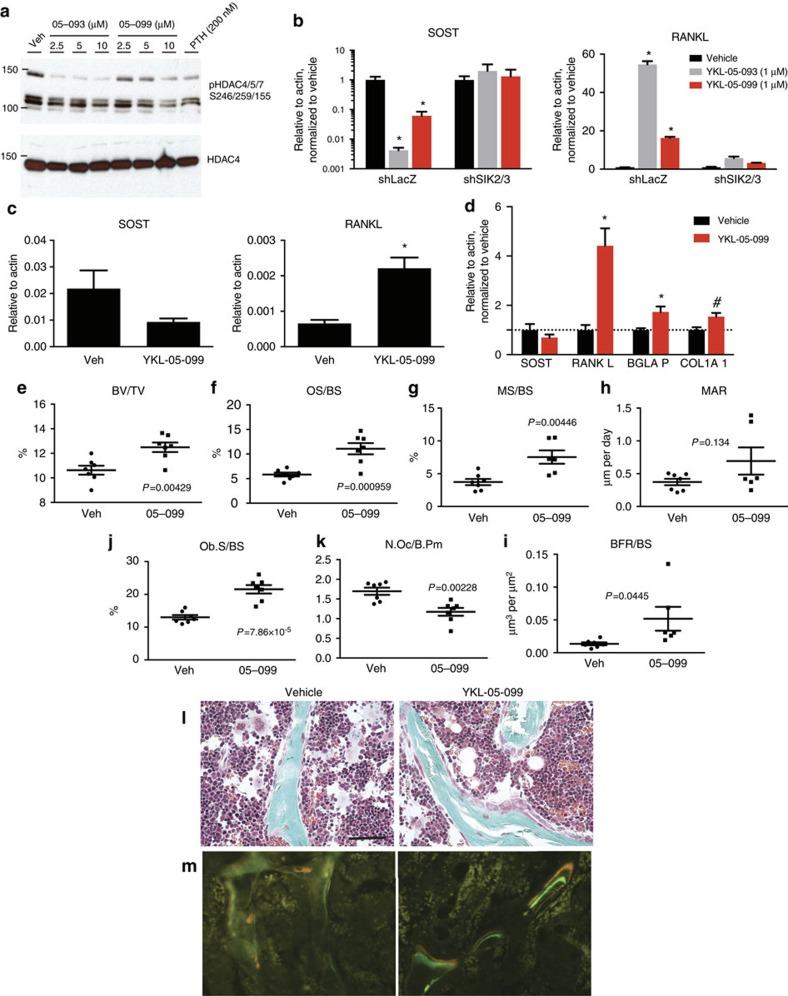 https://cdn.ncbi.nlm.nih.gov/pmc/blobs/c084/5075806/85bd5baaeec2/ncomms13176-f8.jpg