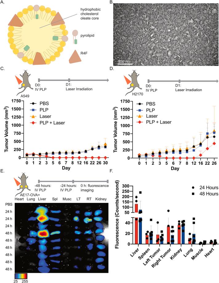 https://cdn.ncbi.nlm.nih.gov/pmc/blobs/c090/9646247/941358303fa3/j_nanoph-2021-0241_fig_001.jpg