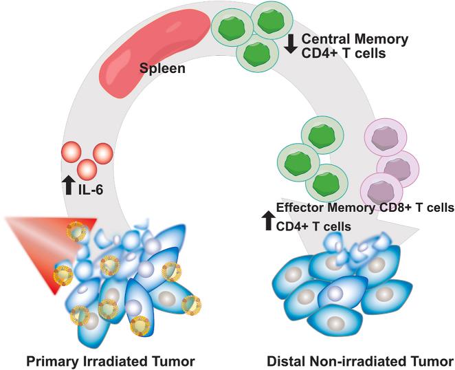 https://cdn.ncbi.nlm.nih.gov/pmc/blobs/c090/9646247/9e1975288772/j_nanoph-2021-0241_fig_007.jpg