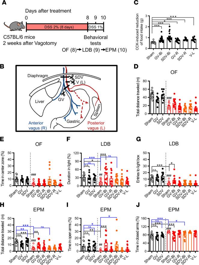 https://cdn.ncbi.nlm.nih.gov/pmc/blobs/c091/10371239/1759862aff7b/jciinsight-8-161874-g088.jpg