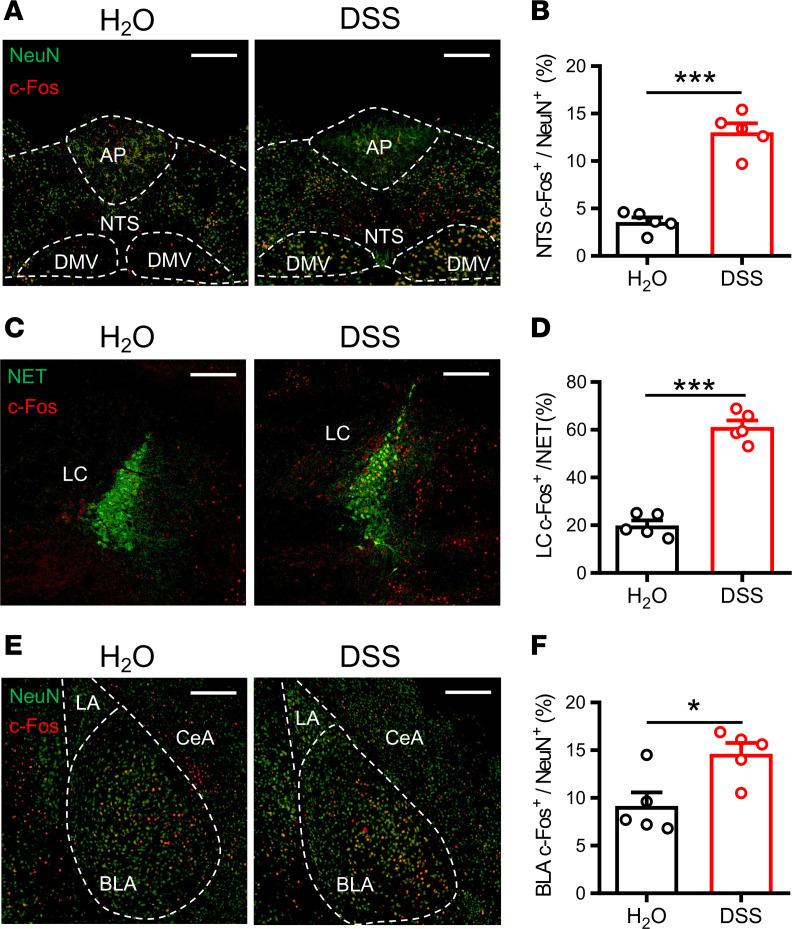 https://cdn.ncbi.nlm.nih.gov/pmc/blobs/c091/10371239/4c6319f1ab6d/jciinsight-8-161874-g090.jpg