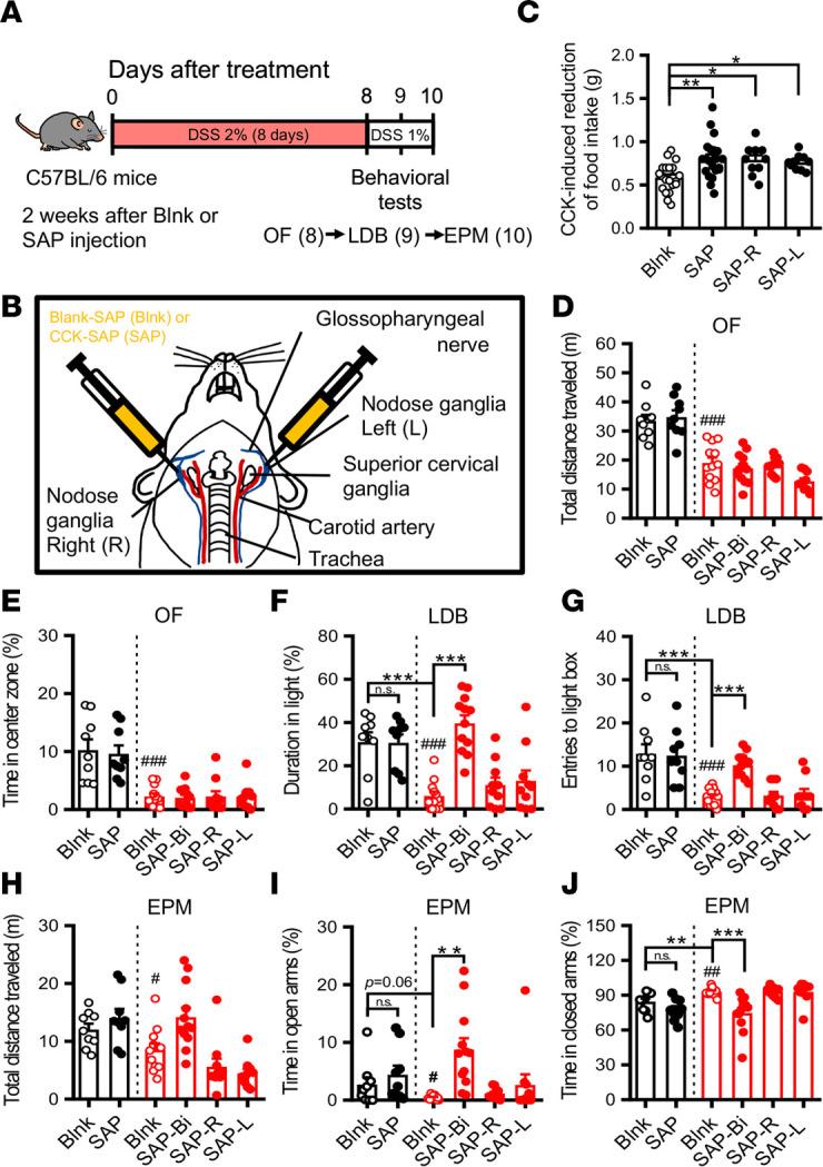 https://cdn.ncbi.nlm.nih.gov/pmc/blobs/c091/10371239/a157b0035c38/jciinsight-8-161874-g089.jpg