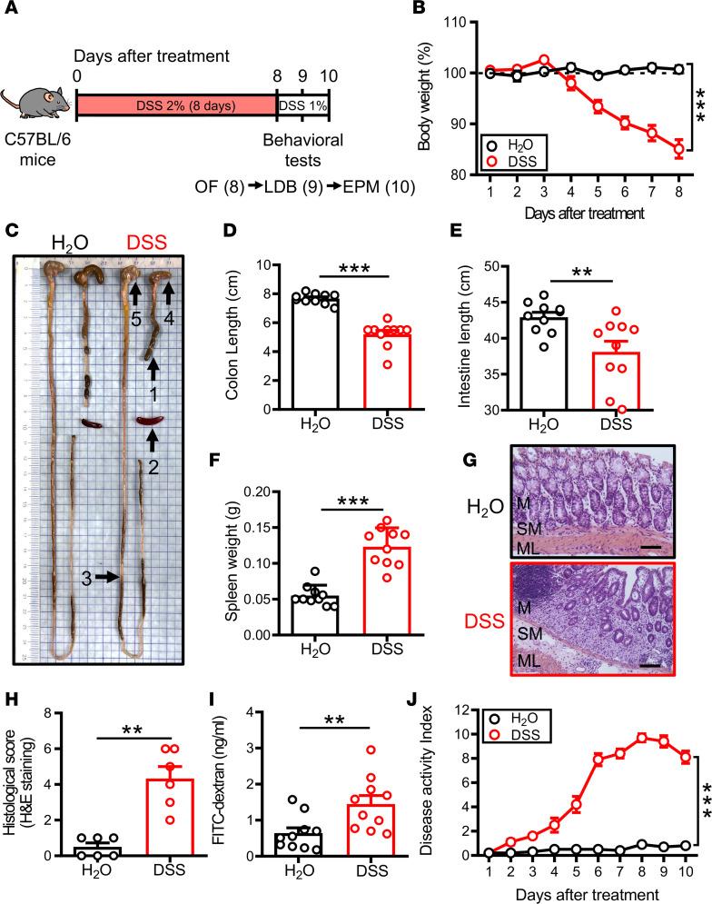 https://cdn.ncbi.nlm.nih.gov/pmc/blobs/c091/10371239/fc130184b983/jciinsight-8-161874-g086.jpg