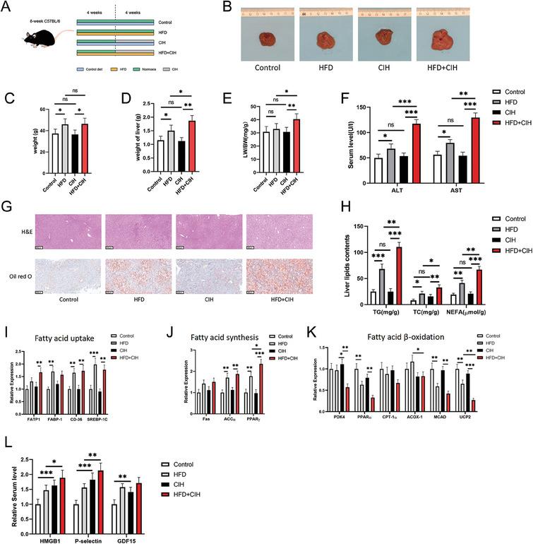 https://cdn.ncbi.nlm.nih.gov/pmc/blobs/c091/11538716/11b6293c1bc1/ADVS-11-2402241-g002.jpg