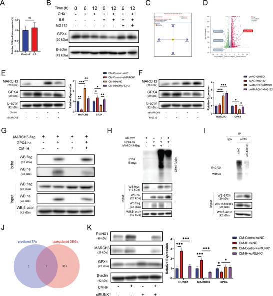 https://cdn.ncbi.nlm.nih.gov/pmc/blobs/c091/11538716/74d64f36878e/ADVS-11-2402241-g010.jpg