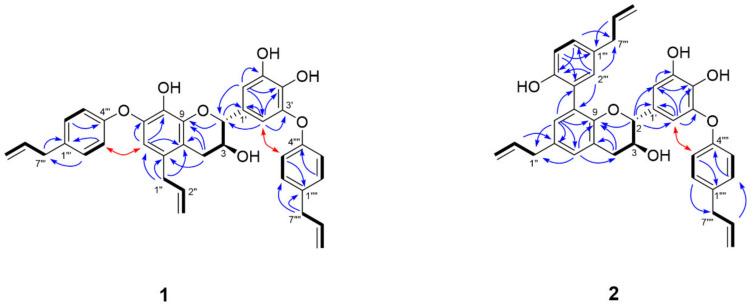 https://cdn.ncbi.nlm.nih.gov/pmc/blobs/c092/8003705/1f7aa20bbbbc/biomolecules-11-00463-g003.jpg