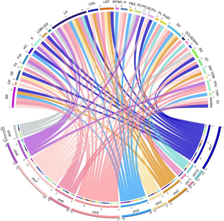 https://cdn.ncbi.nlm.nih.gov/pmc/blobs/c093/11688477/ce929541e027/fpls-15-1436532-g004.jpg