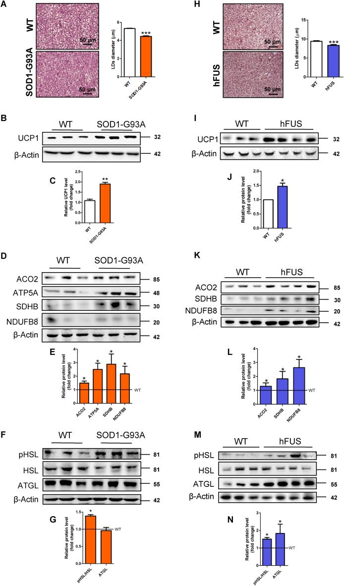https://cdn.ncbi.nlm.nih.gov/pmc/blobs/c094/10201591/f153e761966b/gr1.jpg