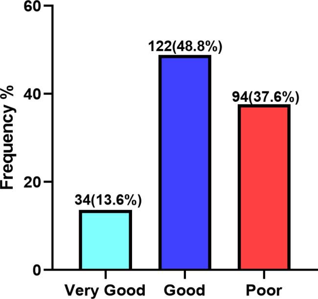 https://cdn.ncbi.nlm.nih.gov/pmc/blobs/c094/11575446/e1e3e080a1ab/12889_2024_20640_Fig2_HTML.jpg