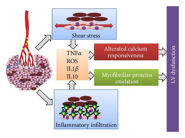 https://cdn.ncbi.nlm.nih.gov/pmc/blobs/c095/3881665/01bcf8aaa92c/SCIENTIFICA2013-364247.003.jpg