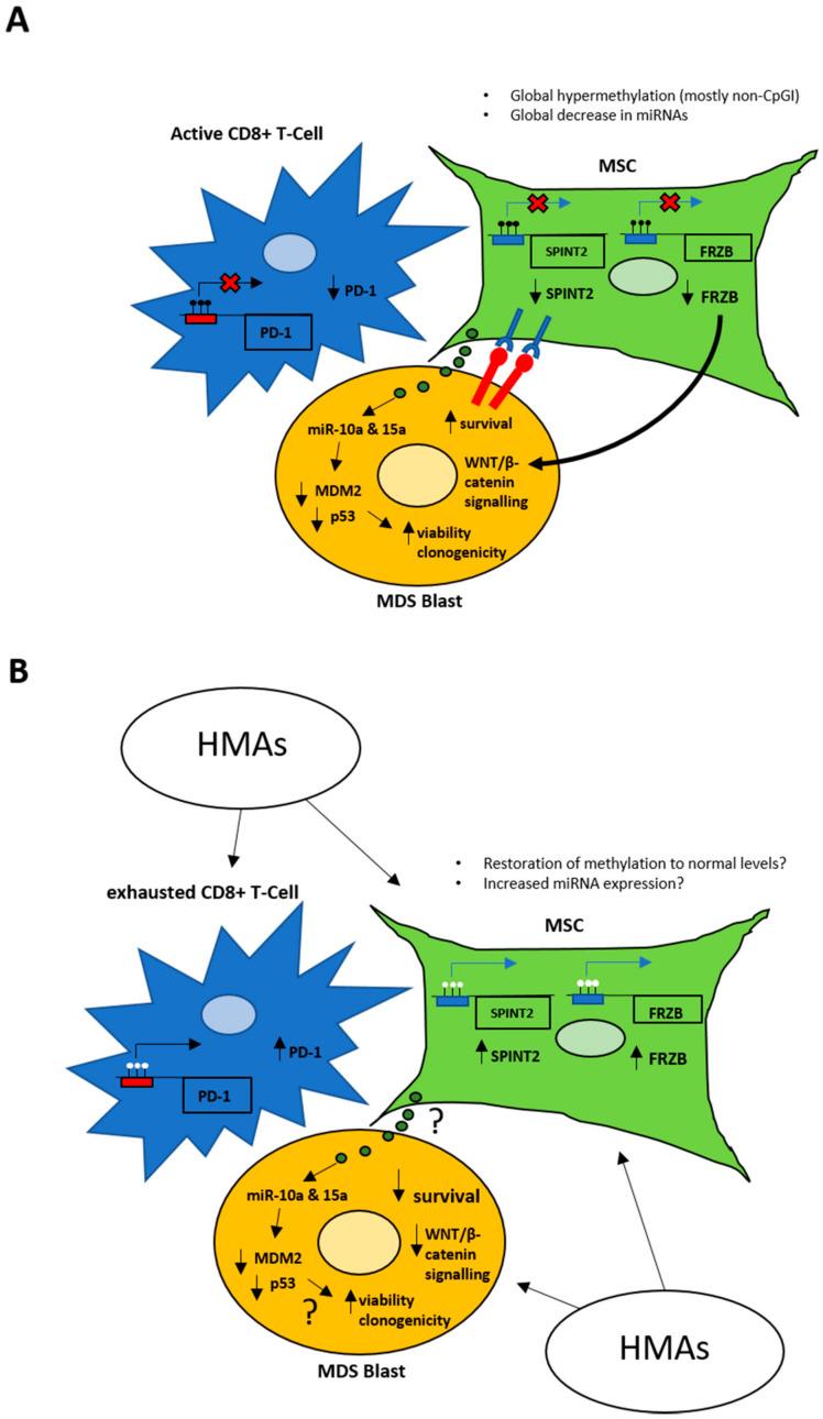 https://cdn.ncbi.nlm.nih.gov/pmc/blobs/c095/7692163/ee2cc2ca28ba/cancers-12-03128-g002.jpg