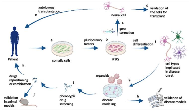 https://cdn.ncbi.nlm.nih.gov/pmc/blobs/c096/11680093/04ae4414998a/vetsci-11-00666-g008.jpg