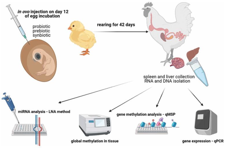 https://cdn.ncbi.nlm.nih.gov/pmc/blobs/c096/11680093/df72cf4b240b/vetsci-11-00666-g007.jpg