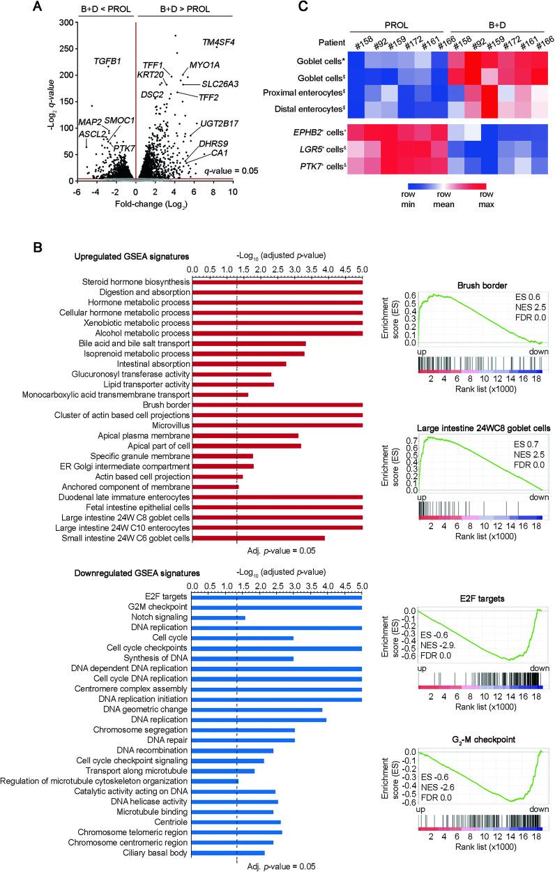 https://cdn.ncbi.nlm.nih.gov/pmc/blobs/c09a/11058856/705758c785fa/41419_2024_6680_Fig4_HTML.jpg