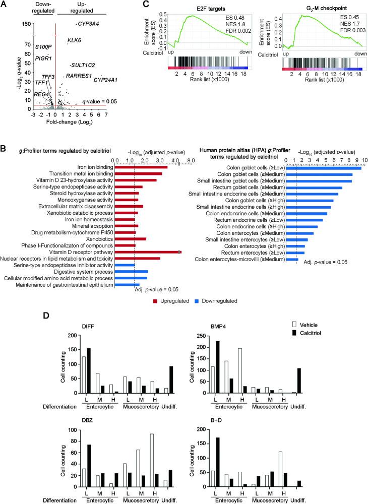 https://cdn.ncbi.nlm.nih.gov/pmc/blobs/c09a/11058856/7f49f75c5eae/41419_2024_6680_Fig6_HTML.jpg