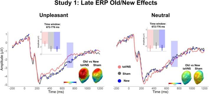 https://cdn.ncbi.nlm.nih.gov/pmc/blobs/c09b/11894791/18dcfb00f07e/PSYP-62-e70034-g006.jpg
