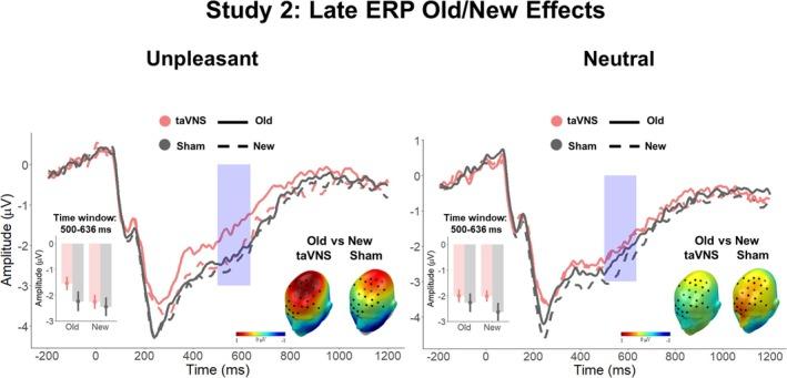 https://cdn.ncbi.nlm.nih.gov/pmc/blobs/c09b/11894791/224527526807/PSYP-62-e70034-g004.jpg