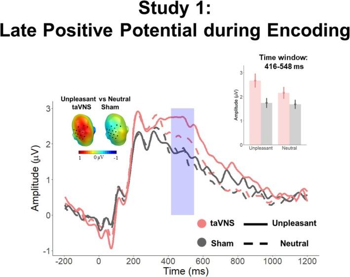 https://cdn.ncbi.nlm.nih.gov/pmc/blobs/c09b/11894791/461c0b1c22bd/PSYP-62-e70034-g003.jpg