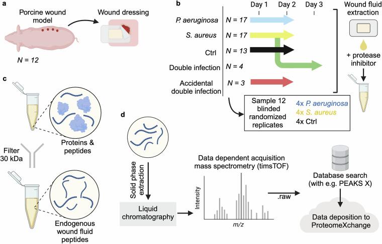 https://cdn.ncbi.nlm.nih.gov/pmc/blobs/c09c/12405536/4d6b3314514b/41597_2025_5842_Fig1_HTML.jpg
