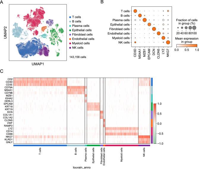https://cdn.ncbi.nlm.nih.gov/pmc/blobs/c09f/11876514/1ccae057058f/12672_2025_1834_Fig1_HTML.jpg