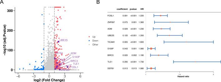 https://cdn.ncbi.nlm.nih.gov/pmc/blobs/c09f/11876514/2090b96d2f1a/12672_2025_1834_Fig3_HTML.jpg