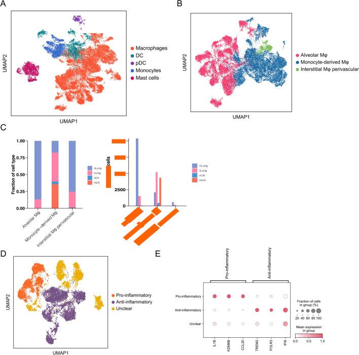 https://cdn.ncbi.nlm.nih.gov/pmc/blobs/c09f/11876514/23ccff4020d2/12672_2025_1834_Fig2_HTML.jpg
