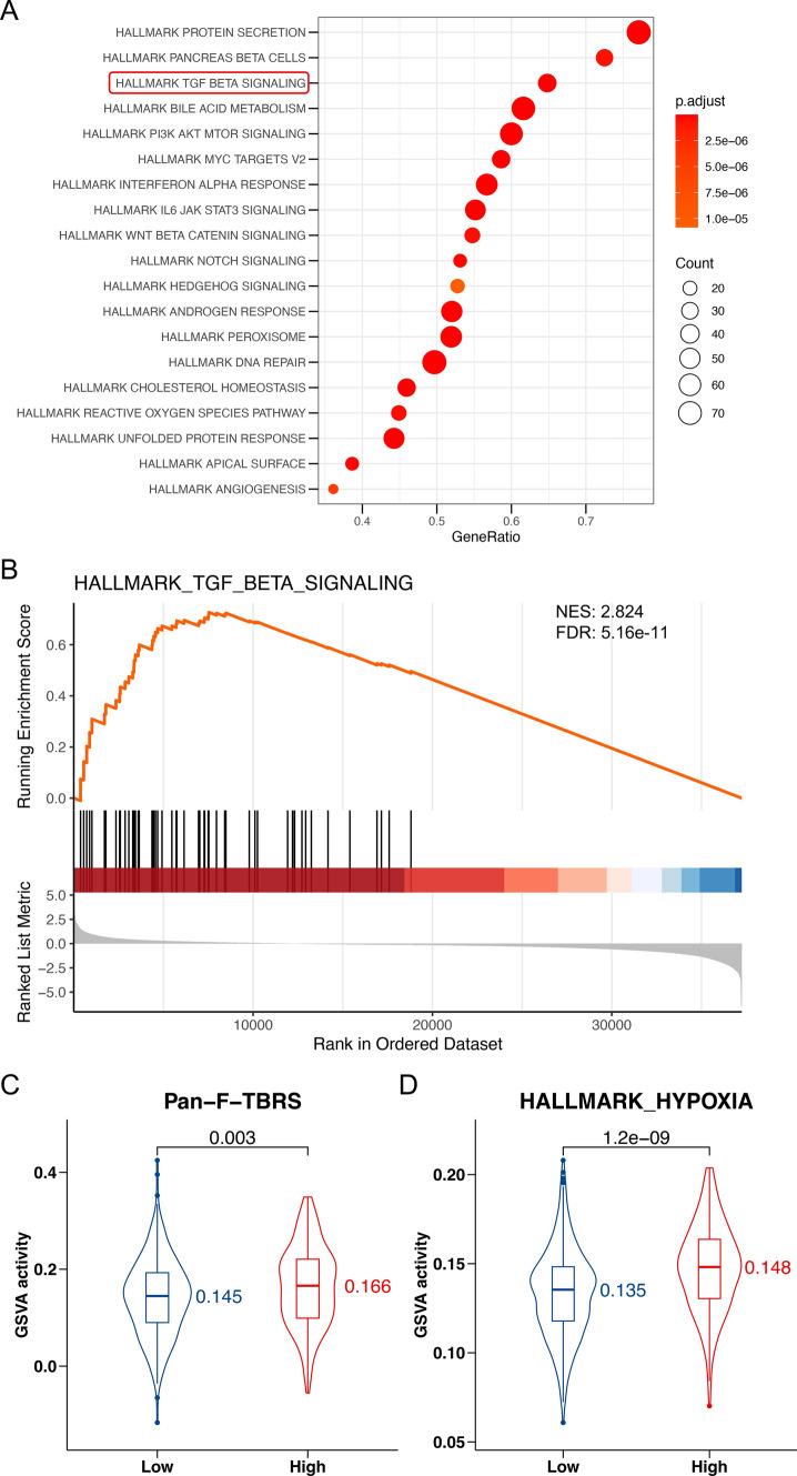 https://cdn.ncbi.nlm.nih.gov/pmc/blobs/c09f/11876514/a5b4271790db/12672_2025_1834_Fig6_HTML.jpg