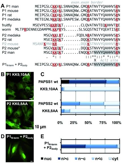 https://cdn.ncbi.nlm.nih.gov/pmc/blobs/c09f/3252339/6b33d92859b6/pone.0029559.g006.jpg