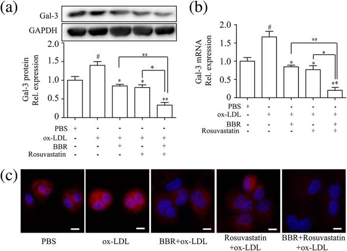 https://cdn.ncbi.nlm.nih.gov/pmc/blobs/c0a0/6587449/7bb76105e83e/PTR-33-294-g002.jpg