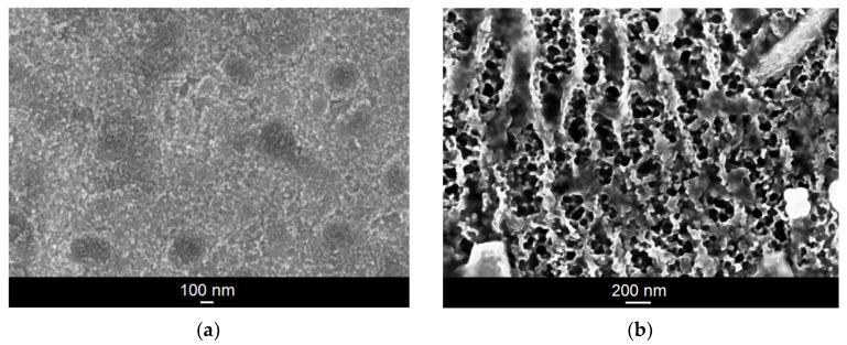 https://cdn.ncbi.nlm.nih.gov/pmc/blobs/c0a0/8538941/af734df5e31e/materials-14-06142-g001.jpg