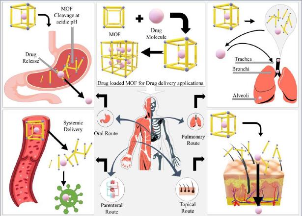 https://cdn.ncbi.nlm.nih.gov/pmc/blobs/c0a1/10974818/d223b07941c3/ADMET-12-2057-g003.jpg