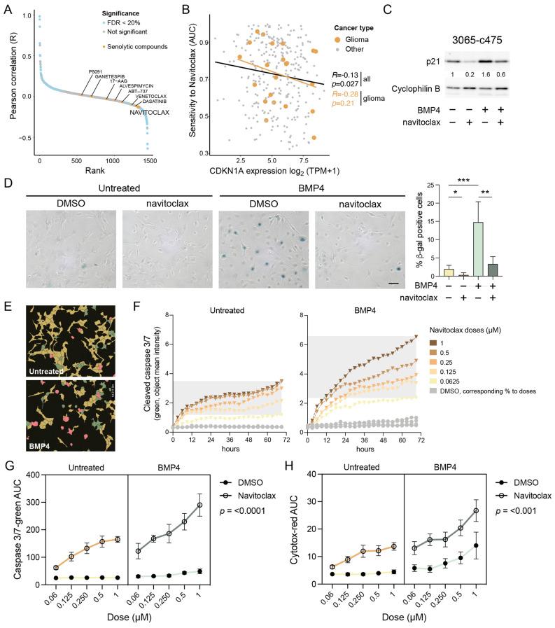 https://cdn.ncbi.nlm.nih.gov/pmc/blobs/c0a1/12071447/59c8d4536da2/ijms-26-03974-g004.jpg