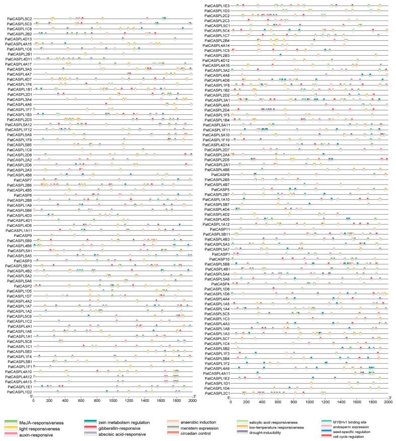 https://cdn.ncbi.nlm.nih.gov/pmc/blobs/c0a3/10675793/40d221badc77/plants-12-03901-g003.jpg