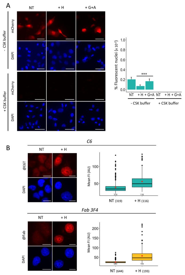 https://cdn.ncbi.nlm.nih.gov/pmc/blobs/c0a6/8267817/711b1ee9fec5/cancers-13-03317-g003.jpg