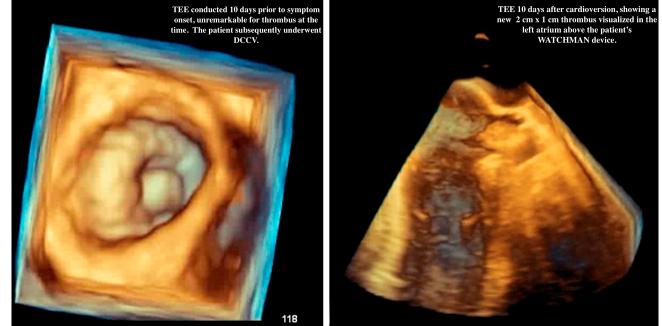 https://cdn.ncbi.nlm.nih.gov/pmc/blobs/c0a8/10923387/83edd9507c50/ms9-86-1729-g001.jpg