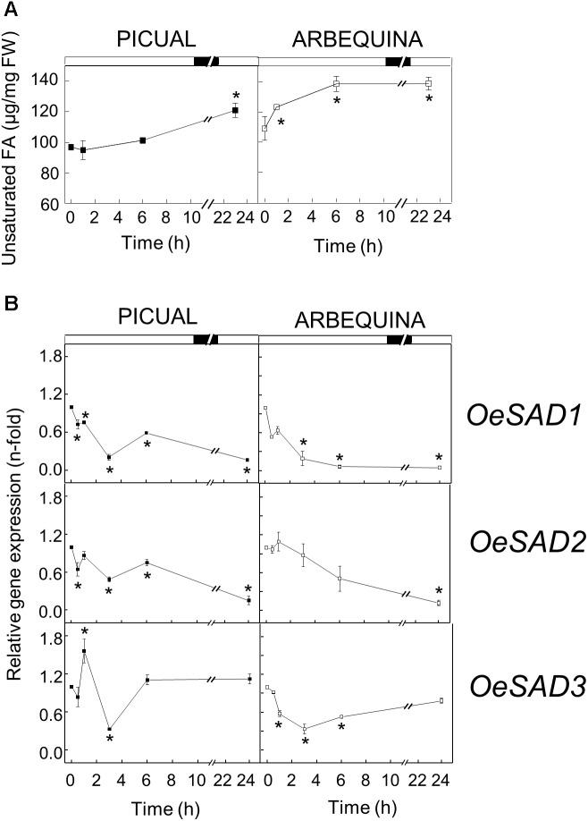 https://cdn.ncbi.nlm.nih.gov/pmc/blobs/c0a9/6411816/782bc3f9c993/fpls-10-00251-g005.jpg