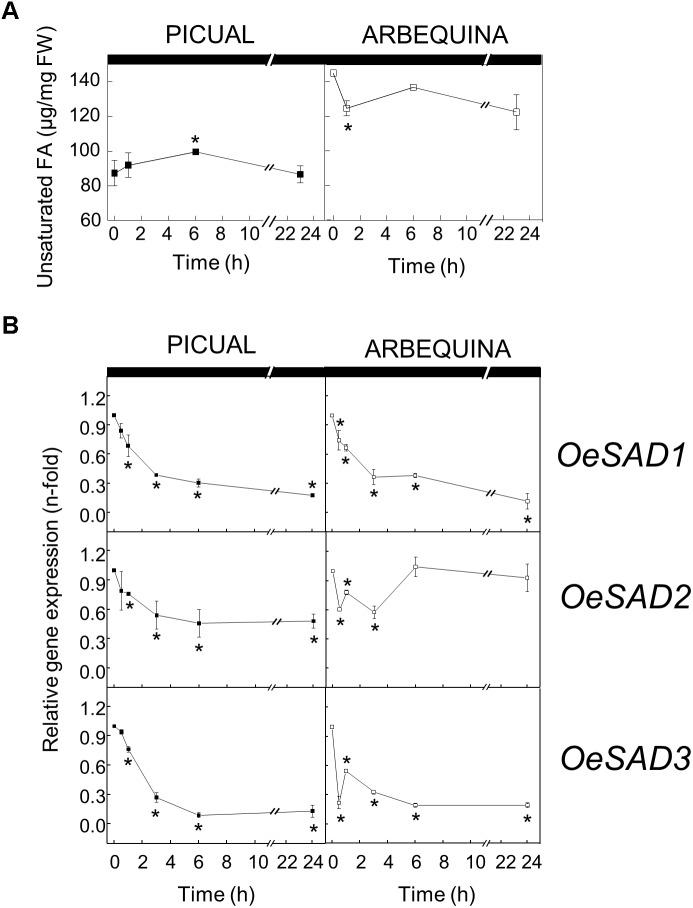 https://cdn.ncbi.nlm.nih.gov/pmc/blobs/c0a9/6411816/89f4a55741bf/fpls-10-00251-g003.jpg
