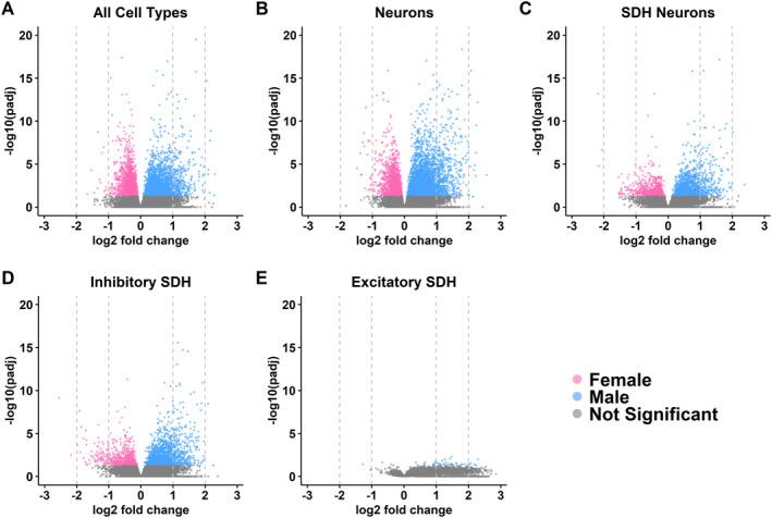 https://cdn.ncbi.nlm.nih.gov/pmc/blobs/c0ac/11645520/334f371024dd/JNR-102-e70008-g001.jpg