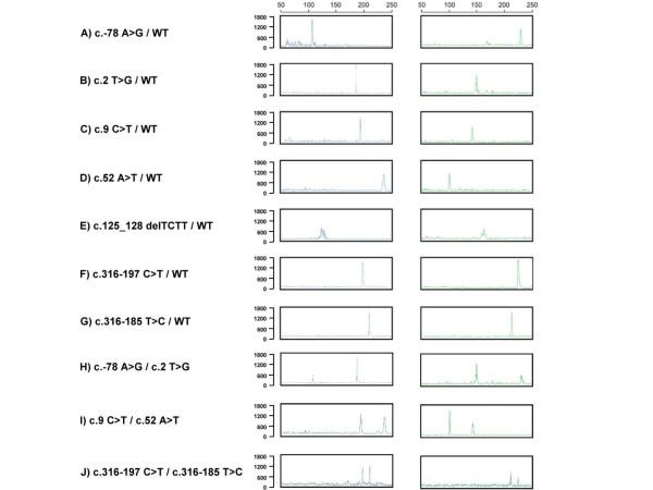 https://cdn.ncbi.nlm.nih.gov/pmc/blobs/c0ac/2525636/40f3967324f6/1472-6750-8-62-2.jpg