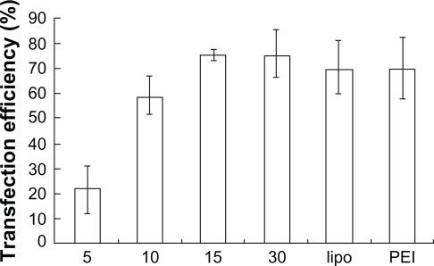 https://cdn.ncbi.nlm.nih.gov/pmc/blobs/c0ad/2841491/19f8bc75ebbd/ijn-5-129f6b.jpg
