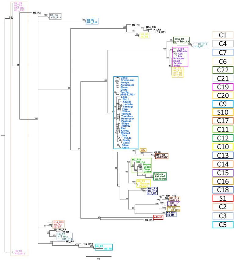 https://cdn.ncbi.nlm.nih.gov/pmc/blobs/c0ad/9341999/a6dc461036e2/fmicb-13-903861-g005.jpg