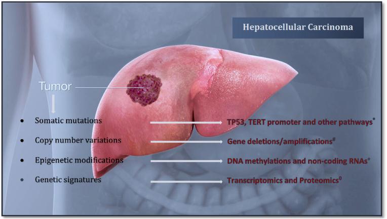 https://cdn.ncbi.nlm.nih.gov/pmc/blobs/c0b2/12212736/880a9a8aaa62/gr1.jpg