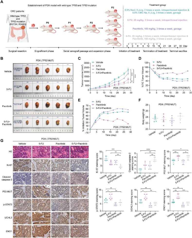 https://cdn.ncbi.nlm.nih.gov/pmc/blobs/c0b4/12145010/770114104910/gr7.jpg