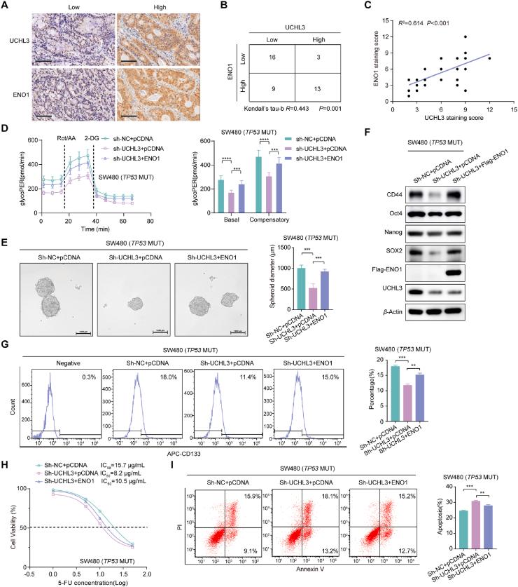 https://cdn.ncbi.nlm.nih.gov/pmc/blobs/c0b4/12145010/a0c0d2140eb4/gr4.jpg