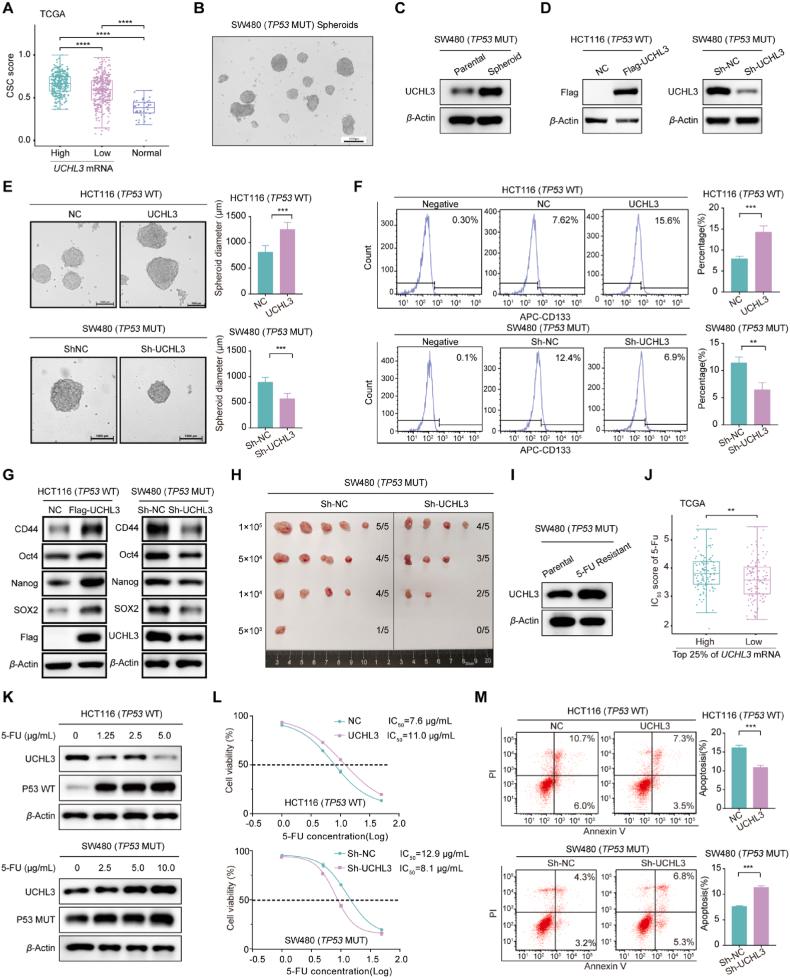 https://cdn.ncbi.nlm.nih.gov/pmc/blobs/c0b4/12145010/e7fcc923bcfa/gr2.jpg