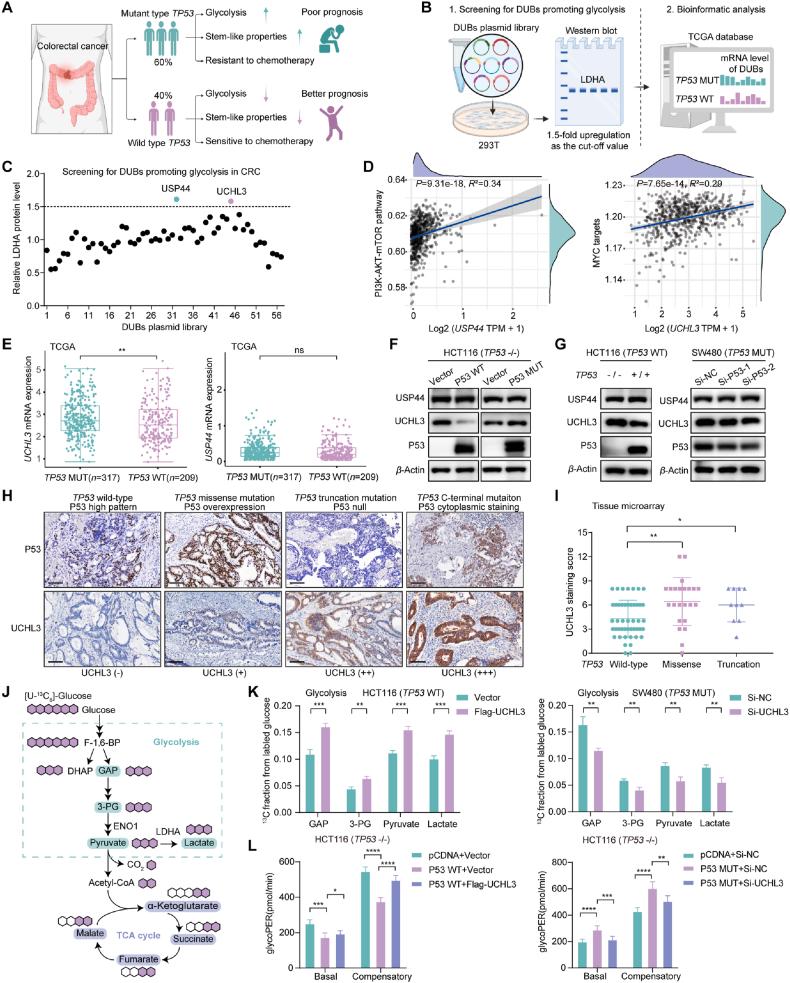 https://cdn.ncbi.nlm.nih.gov/pmc/blobs/c0b4/12145010/ffd1dbf2e618/gr1.jpg