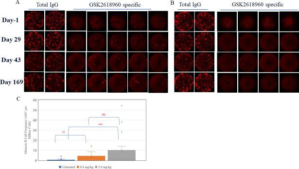 https://cdn.ncbi.nlm.nih.gov/pmc/blobs/c0b6/7987154/5fbff0a24a33/pone.0249049.g002.jpg