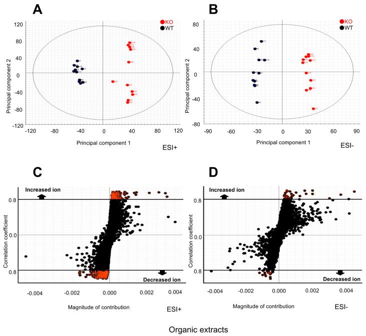 https://cdn.ncbi.nlm.nih.gov/pmc/blobs/c0b6/8159118/46234aaffcb0/ijms-22-05334-g002.jpg