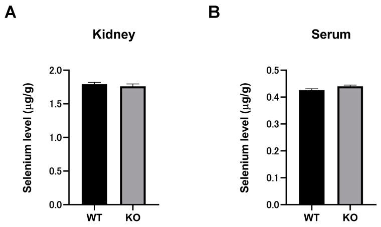 https://cdn.ncbi.nlm.nih.gov/pmc/blobs/c0b6/8159118/f6a6c5fcc85b/ijms-22-05334-g006.jpg