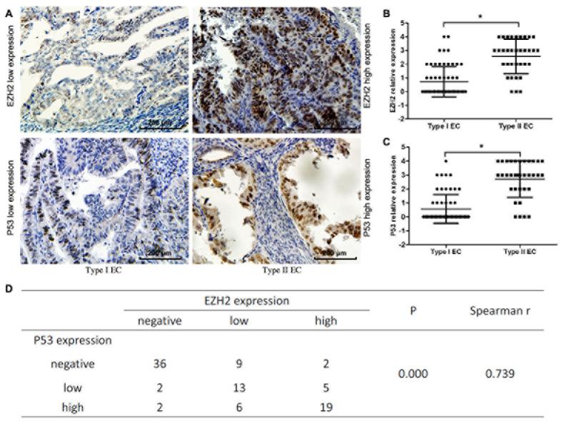 https://cdn.ncbi.nlm.nih.gov/pmc/blobs/c0ba/4792583/227477a7beb2/oncotarget-06-44660-g001.jpg
